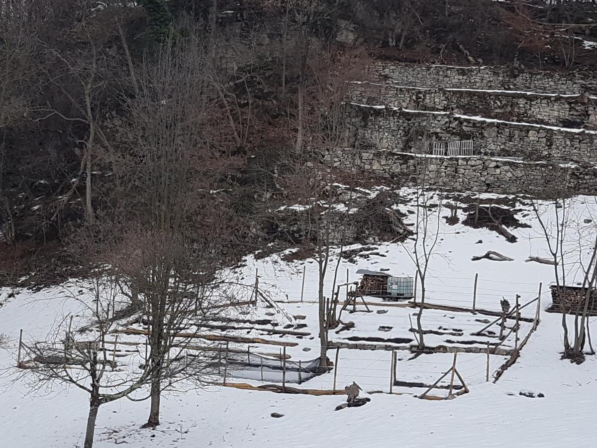 Alojamento de Turismo Rural Eleonora Argegno