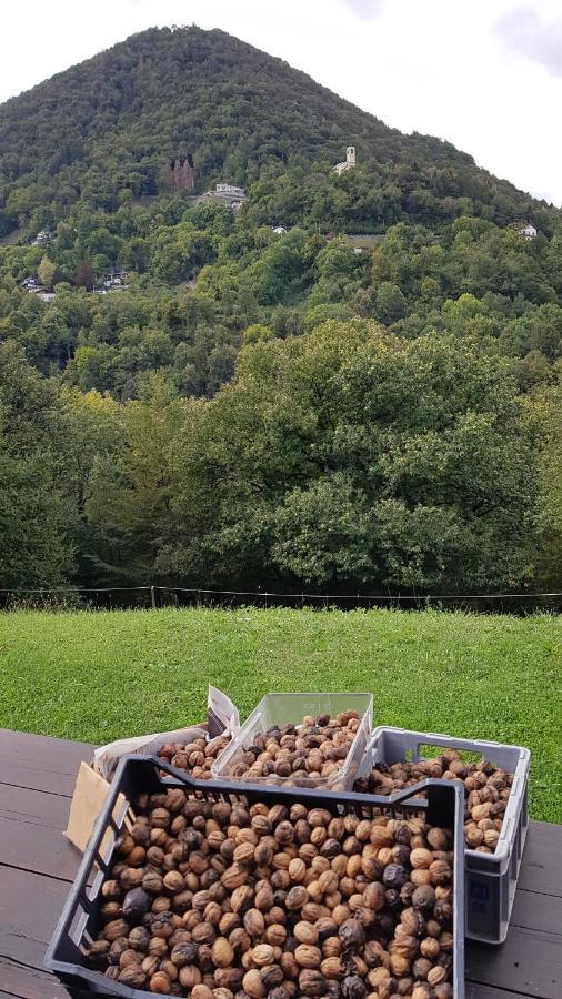 Alloggio per agriturismo La Baita Di Eleonora