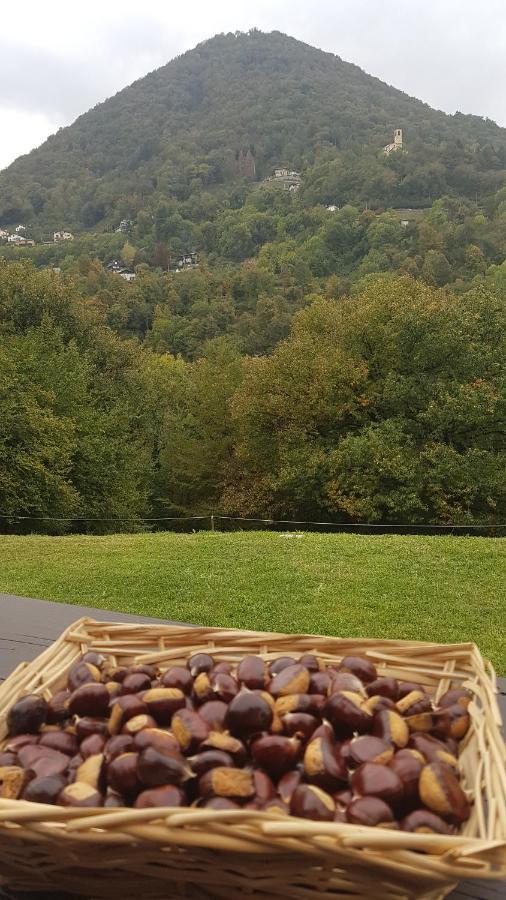 Baita Eleonora Farm stay Argegno