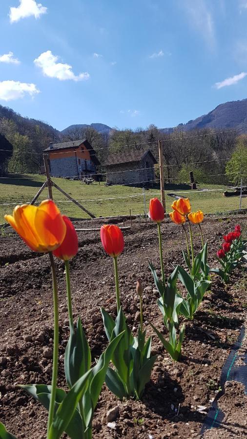 Alojamento de Turismo Rural Eleonora